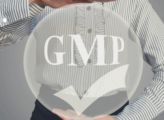 Una persona con camisa corporativa de rayas sosteniendo y protegiendo de forma simbólica con sus manos una esfera translúcida superpuesta que contiene las siglas GMP y un gran icono de verificación o aprobado de color blanco.